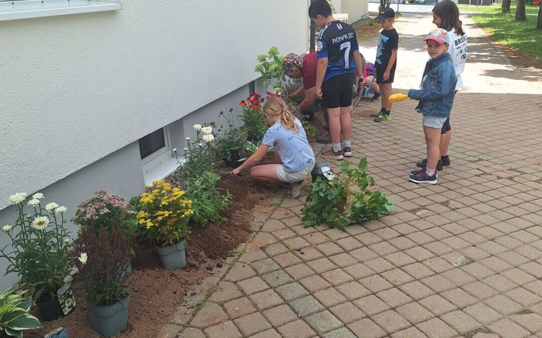 Es summt und brummt vor unserer Schule! – Unser neues Insektenparadies