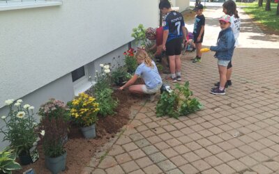 Es summt und brummt vor unserer Schule! – Unser neues Insektenparadies